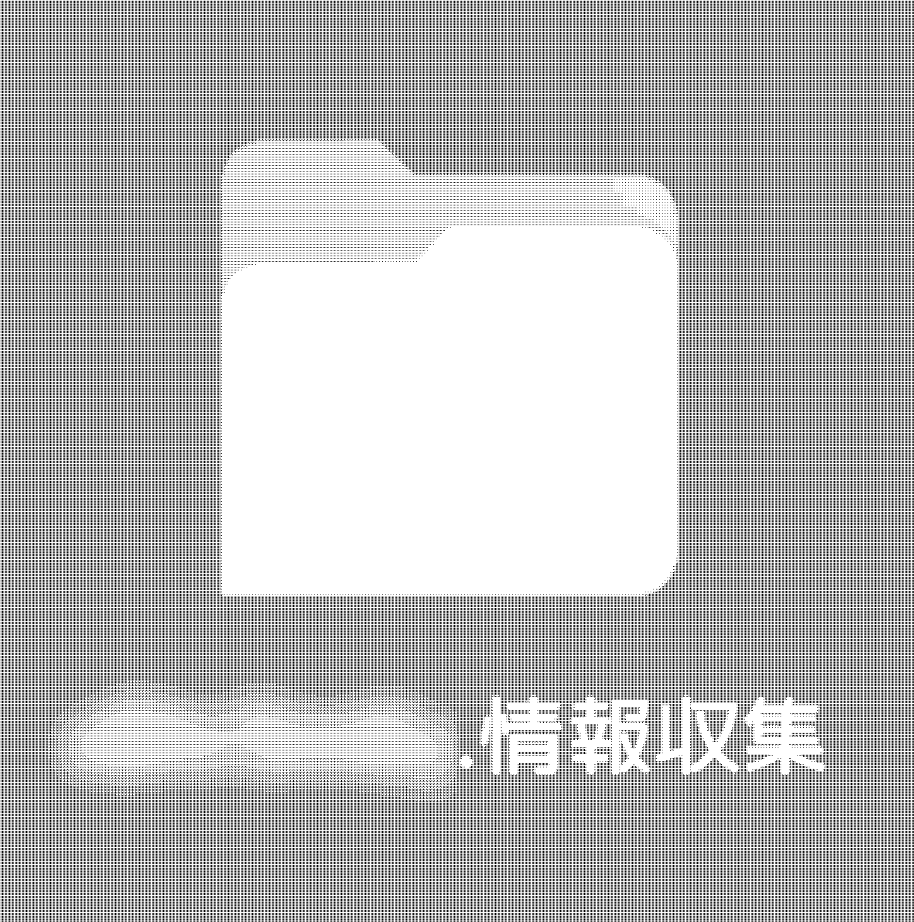 データ削減画像